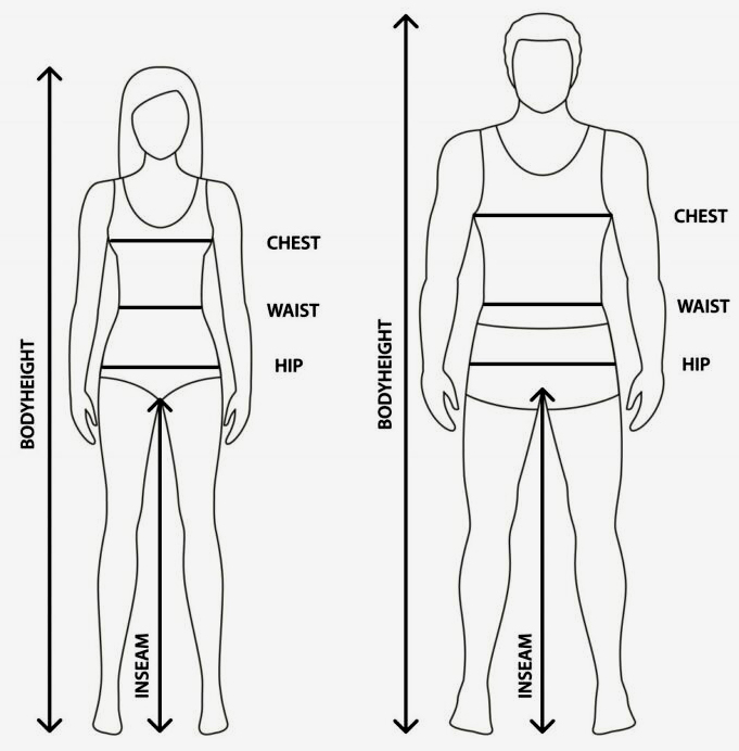 body measurments.jpg